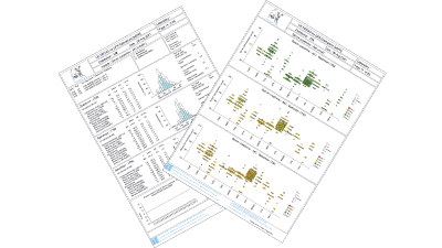 Collage of two analyte pages from a birmingham quality report